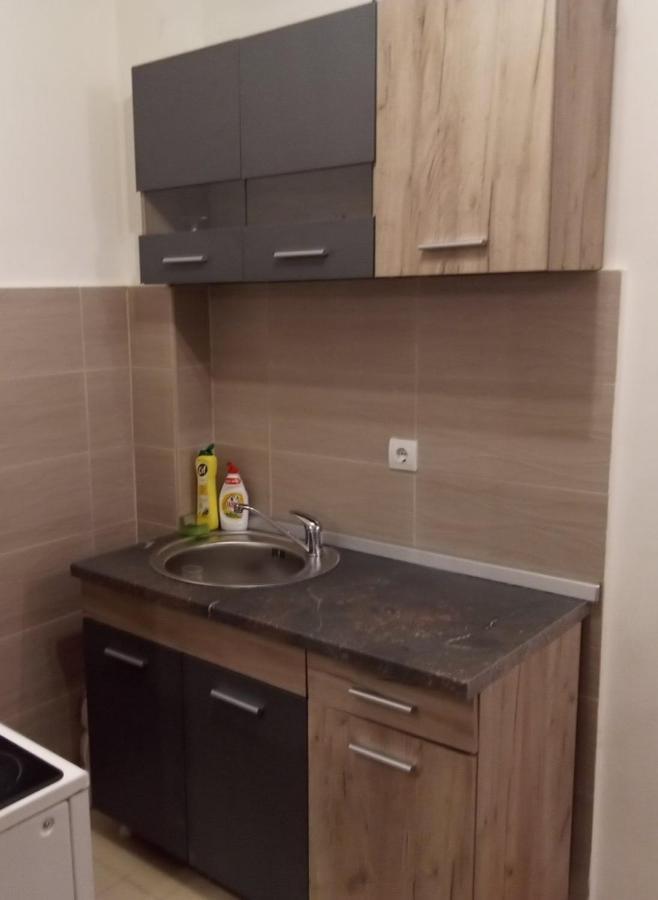 Lux Apartment Rose 2 60M2 Крагуевац Екстериор снимка